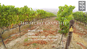 Secret Grape Site, Pinot Noir, Part 2